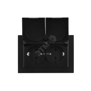 Розетка 2-м СП BRITE РСбш12-3-44-БрЧ 16А в сборе IP44 с крышкой черн. BR-R26-16-44-K02-F
