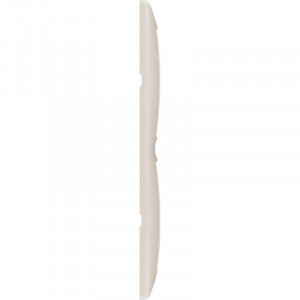 Рамка 2-м Valena горизонт. сл. кость Leg 774352