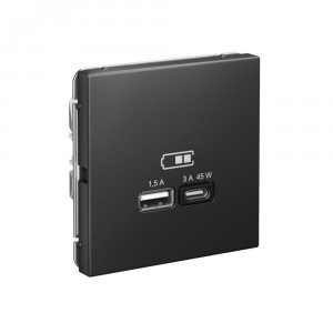 ARTGALLERY USB розетка A + тип-C 45Вт высокоскор.заряд. QC, PD, механизм, базальт GAL001429