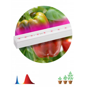 Светильник для растений, фитолампа светодиодная линейная FITO-16W-Т5-N красно-синего спектра 16 Вт Т5 Б0045233