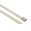 Хомут AISI 304 из нержавеющей стали, 4.6x150 (100 шт.) FlexLock PROxima plc-fl-tss-304-4.6x150