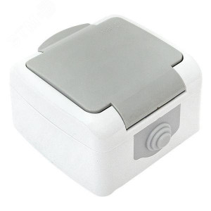 Розетка 1-м ОП Мурманск 16А IP54 с заземл. защ. шторки с крышкой сер. EFR16-029-30-54