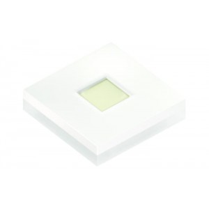 KP CSLNM1.F1