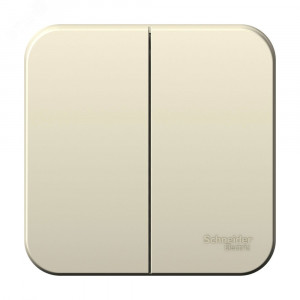 BLANCA О/У 2-клавишный ВЫКЛЮЧАТЕЛЬ (cх.5) ИЗОЛ.ПЛ., 6А, 250B,МОЛОЧНЫЙ C2 BLNVA065012