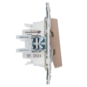 SKANDY Выключатель 2-клавишный проходной 10А SK-V05Sa песочный IEK SK-V22-0-10-K98