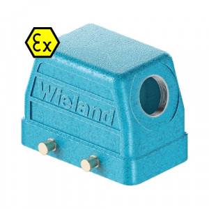 Крышка разъема Ex EX GOT GA10 M25 09IA Z1, Крышка разъема на кабель, типоразмер 10B, взрывозащита, без уплотнителя, 1 отверстие с резьбой для кабельных вводов M25x1,5, с боковым расположением, без защелок (упоры для двух защелок), материал корпуса: цинковый сплав