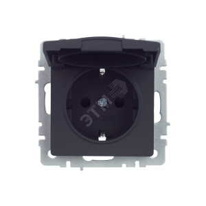 Розетка BRITE РСбш10-3-44-БрГ 16А IP44 с заземл. защ. шторки с крышкой графит BR-R16-16-44-K53