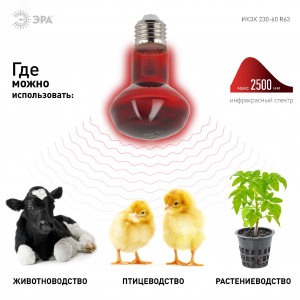 Инфракрасная лампа ИКЗК 230-60 R63 Е27 для обогрева животных 60 Вт Е27 Б0057281
