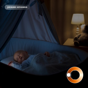 Лампа светодиодная филаментная Smart Home DIM E14 C35 4,5 Вт 1/10/40 1230112