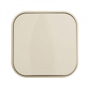 Выключатель 1-кл. ОП Quteo 10А IP20 10AX сл. кость Leg 782230