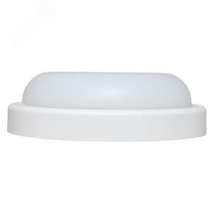 Светильник светодиодный ЖКХ ДПО-1003 12Вт 4000К IP65 круг BKL-1003-R-12-4000