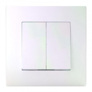 Выключатель 2-кл. СП Pixel 10А IP20 в сборе перламутр. TKE-PX-V2F-C04