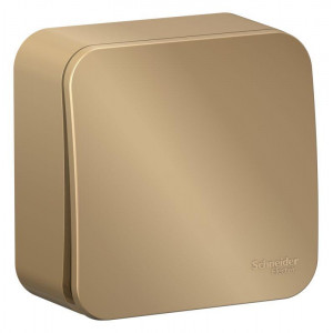 Выключатель 1-кл. ОП Blanca 10А IP20 (сх. 1) 250В с изолир. пластиной титан SE BLNVA101014