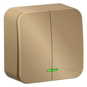 Выключатель 2-кл. ОП Blanca 10А IP20 (сх. 5) 250В с подсветкой с изолир. пластиной титан SE BLNVA105114