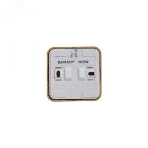 Выключатель 2-кл. ОП Blanca 10А IP20 (сх. 5) 250В с подсветкой с изолир. пластиной ясень SE BLNVA105115