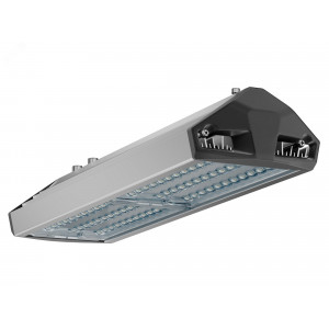 Светильник уличный ЕСАУЛ ДКУ-100 750 ШБ УТ000020653