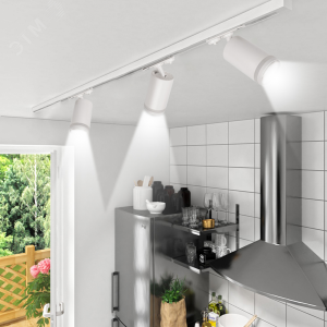 Светильник светодиодный трековый на шинопровод ДПО GX10  PTR 38 GU10 WH 230V IP20 без лампы белый корпус 5052253