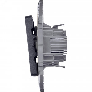 Выключатель кнопочный Inspiria 6А 250В без фиксации НО/НЗ механизм антрацит Leg 673693