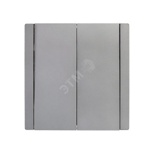 FORTE&PIANO Выключатель 2-клавишный 10А FP505 сталь IEK FP-V20-0-10-1-K46