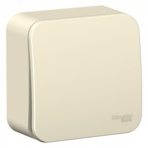 BLANCA О/У 1-клавишный ВЫКЛЮЧАТЕЛЬ (cх.1) ИЗОЛ.ПЛ., 6А, 250В, МОЛОЧНЫЙ C2 BLNVA061012