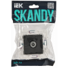 SKANDY Розетка TV проходная SK-A17G графит IEK SK-A10-P-K53