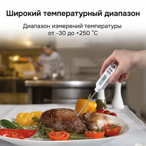 RGK CT-105 с поверкой, Цифровой термометр-щуп  от -30°C до 250°C с погрешностью ±0.5°С