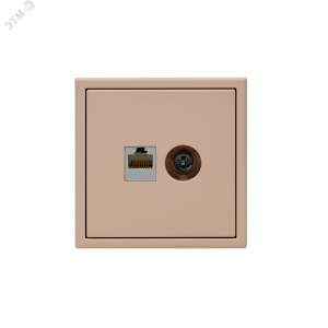 ARTGALLERY розетка двойная ТВ + компьютерная RJ45, кат. 5Е, песочный GAL001289