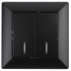 4-105-05 Выключатель двойной с подсветкой, 10А-250В, СУ, Solo, антрацит (10/200/2 Б0043295