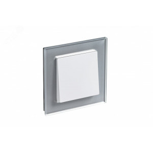 Рамка 1-м AtlasDesign Nature стекло алюм. SE ATN320301