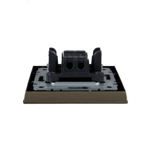 BRITE Выключ. 1-кл. 10А в сб. ВСР10-1-0-БрШ шамп. BR-V10-0-10-K37-F