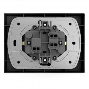 Розетка 2-м СП Pixel 16А IP20 с заземл. защ. шторки в сборе карбон TKE-PX-R2FZSF-C14