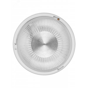 Светильник НПП 03-100-015.01 УХЛ4 "Рондо" SQ0311-0008