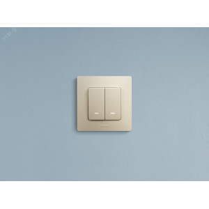 Выключатель 2-кл. СП Etika 10А IP20 250В 10AX с подсветкой/индикацией безвинтов. зажимы механизм сл. кость Leg 672304