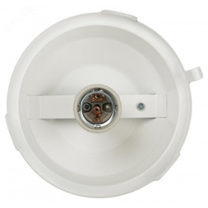 Светильник НСП 02-100-001 без решетки Желудь сталь / стекло IP54 E27 max 100Вт 170х260 белый Б0052017