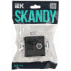 SKANDY Розетка двойная TV+RJ45 кат.5E SK-A14G графит IEK SK-AK20-1-K53