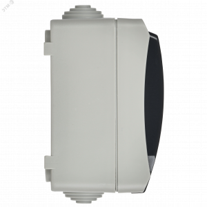 Розетка 2-м ОП Форс РСб22-3-ФСр 16А IP54 с заземл. с крышкой сер. IEK ERS22-K03-16-54-DC