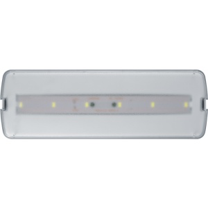 Светильник светодиодный 95 294 NEF-21 5Вт 300лм 220-240В IP20 акк. LiFePO4 1800мА.ч аварийно-эвакуационный NAVIGATOR 95294