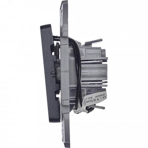 Выключатель 1-кл. Inspiria 10А IP20 250В 10AX с подсветкой/индикацией механизм антрацит Leg 673613