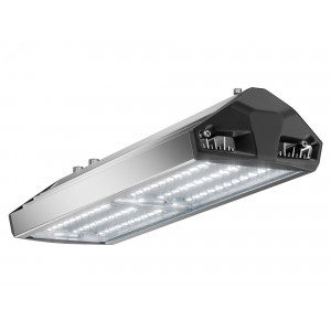 Светильник уличный ЕСАУЛ ДКУ-100 750 ШБ УТ000020653