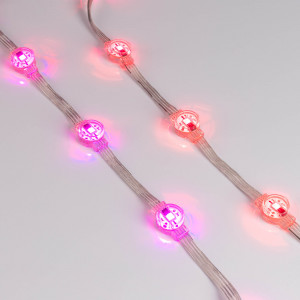 Модуль управляемый DMX-B1-D20 12V RGB (0.3W, IP68, 120 deg) 036777, Управляемый светодиодный модуль DMX, RGB, микросхема GS8512, напряжение 12 В, мощность 0.3 Вт, 1 светодиод SMD 5060, угол 120°. Создание медиафасадов, 20 шт на проводе, расстояние между центрами модулей 105 мм, длина провода между модулями 75 мм. Степень