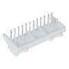 S12B-PASK-2 (LF) (SN)