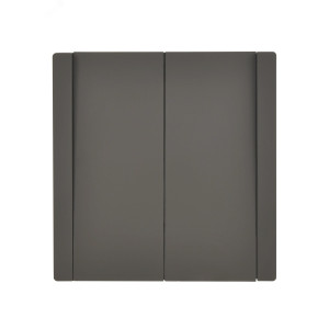 Выключатель 2-кл. СП FORTE&PIANO 10А FP305 сер. IEK FP-V20-0-10-1-K03