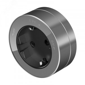 MultiTrack Розетка 2К+З круглая 16А/250В Графит MTK13001G