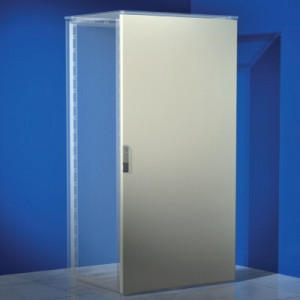 Дверь сплошная для шкафов CQE/DAE ВхШ 2200х300 мм(кр.1шт) [R5CPE2230]