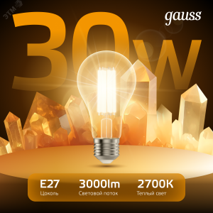 Лампа Filament А70 30W 3000lm 2700К Е27 LED 1/10/40 102902130