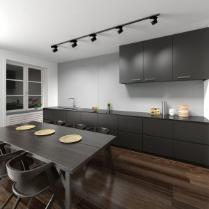 Светильник трековый на шинопровод ДПО-15w GX53 без лампы IP40 черный 41367