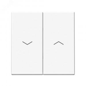 ARTGALLERY 2-клавишный ВЫКЛЮЧАТЕЛЬ ДЛЯ ЖАЛЮЗИ, 2х сх.4, 10А, механизм, быстрозажимные клеммы, БЕЛЫЙ GAL000119S