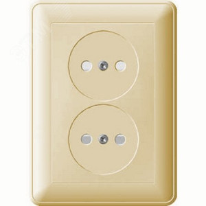 Розетка 2-м СП W59 16А IP20 без заземл. защ. шторки сл. кость SE RS16-254-28