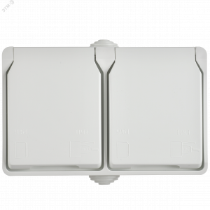 FORS Розетка 2-местная с заземлением для открытой установки 16А IP54 РСб22-3-ФБ белый ERS22-K01-16-54-DC