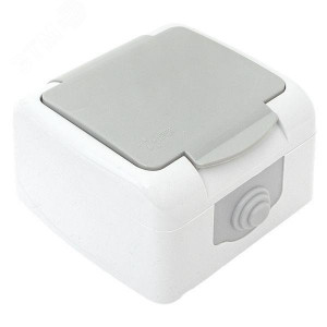 Розетка 1-м ОП Мурманск 16А IP54 с заземл. защ. шторки с крышкой сер. EFR16-029-30-54